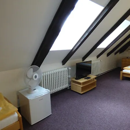 Hotel Svornost-3