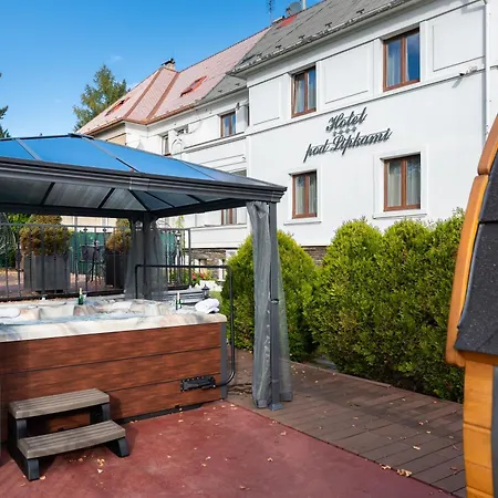 Wellness & Spa Boutique Hotel Pod Lipkami Prague-2